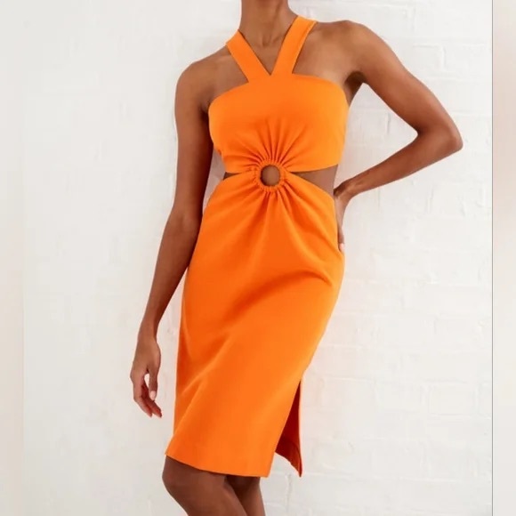 French Connection Dress NWT - Picture 1 of 12